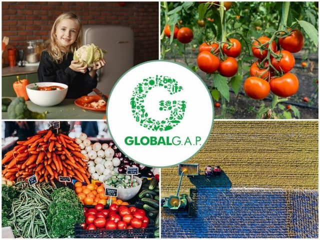 Aplicación del Estándar Global Gap