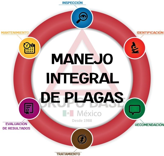 Manejo Integrado de Plagas - MIP