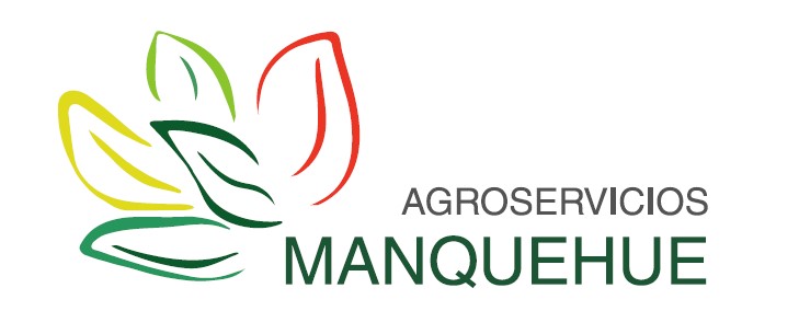 Manquehue